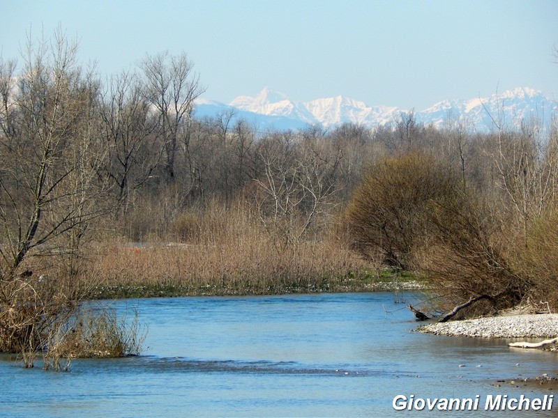 Le magnifiche 4 di primavera